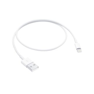 Apple ME291AM/A Lightning to USB Cable (0.5 m)