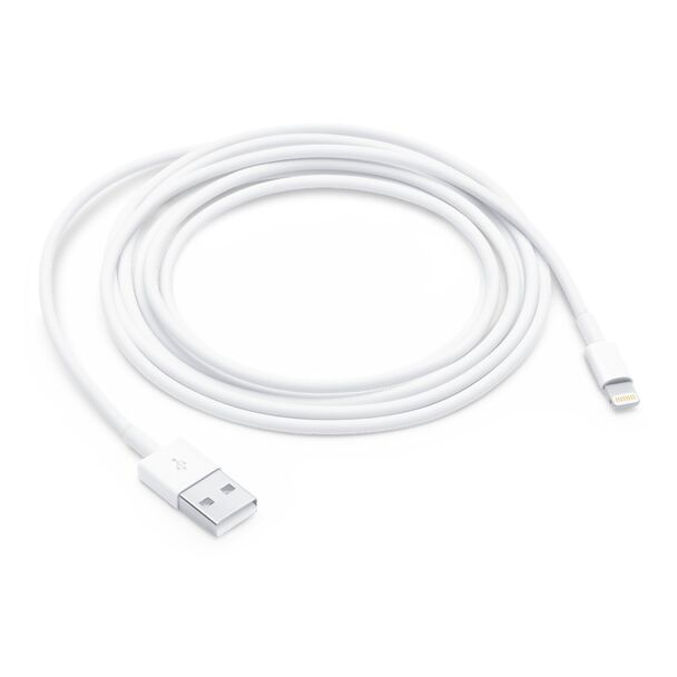 Apple MD819AM/A Lightning to USB Cable (2 m)