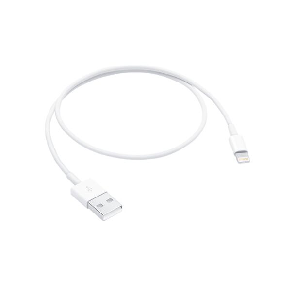 Apple ME291AM/A Lightning to USB Cable (0.5 m)