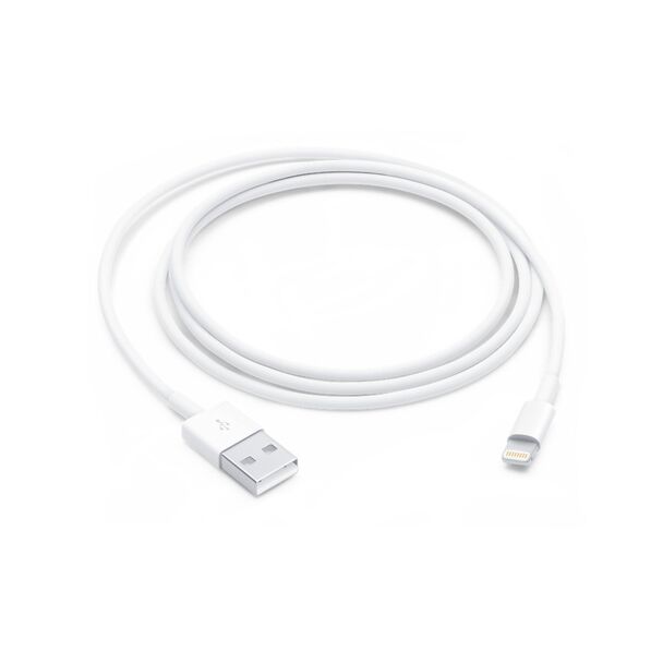 Apple MXLY2ZA/A Lightning to USB Cable (1 m)